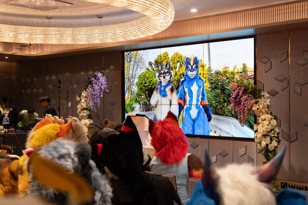 Video Presentation