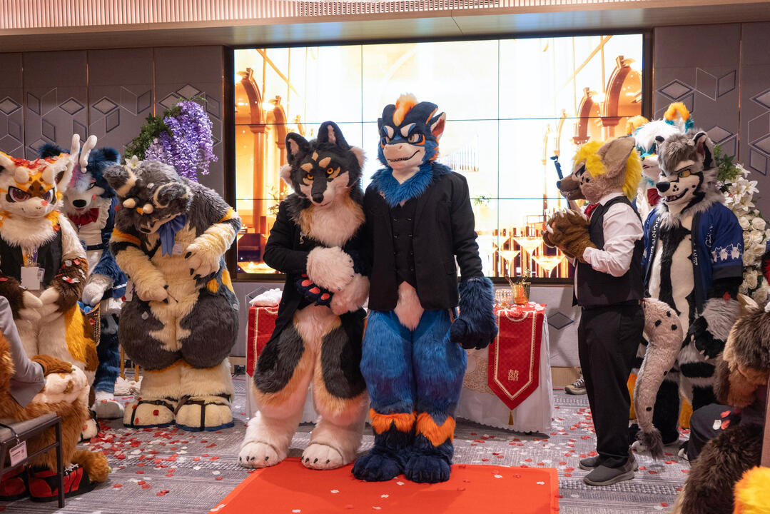 Prepare for wedding march